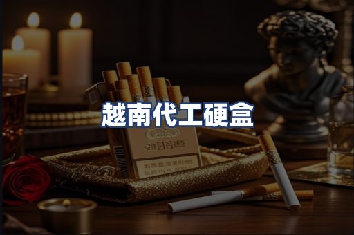 越南代工硬盒